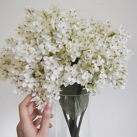 Decorative Flowers - Grandiflora Hydrangeas for home decor.